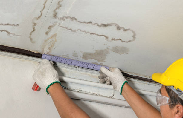 Reliable Burst Pipe Cleanup contractor in Demarest, NJ by Water Damage Irwin